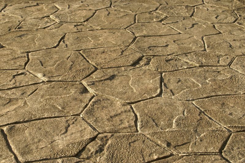 Stamped Concrete Construction in Dallas, TX